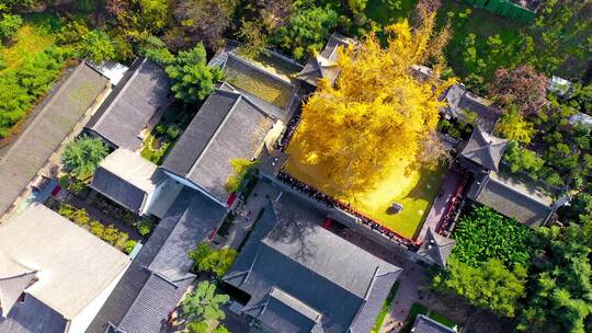 航拍古观音禅寺