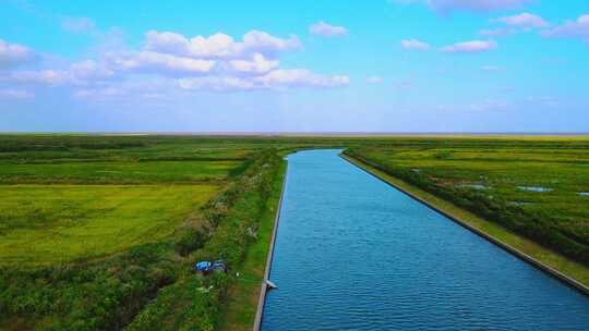 上海滴水湖南汇嘴观海公园草地全景航拍