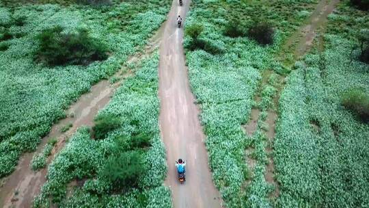 肯尼亚Safari摩托车之旅中的骑手——无人机拍摄