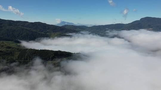 航拍云南深山里清晨的延时云海视频素材模板下载