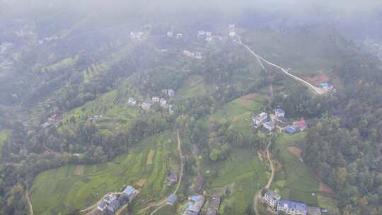 大山里的绿色茶园美景景色航拍