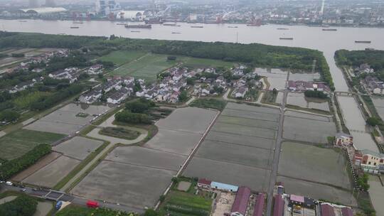 上海浦江镇农村农业生产种植农田灌溉4K航拍视频素材模板下载