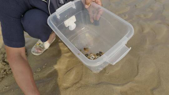 沙滩上海水冲刷贝壳，赶海