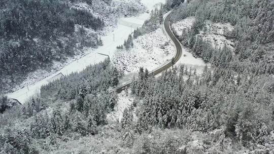 湖北利川冰雪世界里的马路与汽车