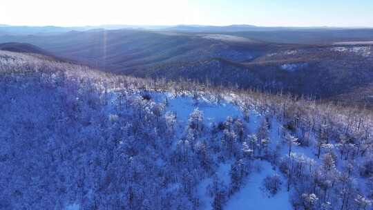 航拍大兴安岭冬季林海雪原