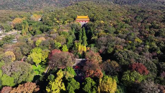 南京秋天 明孝陵 紫金山 钟山风景区