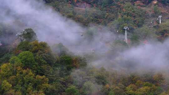 4K航拍重庆光雾山树林云海风景