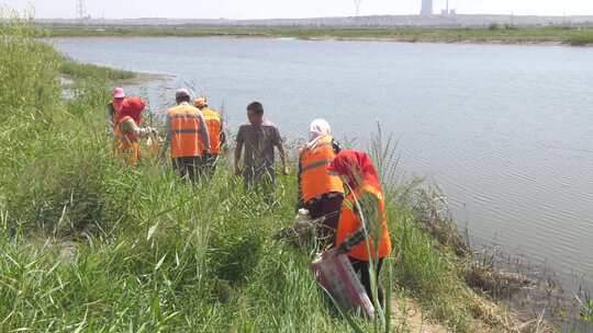 水体垃圾清理污染保护捡垃圾视频素材模板下载