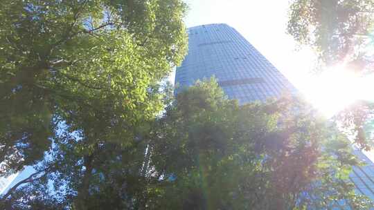 城市景色阳光穿过树叶空镜视频素材模板下载