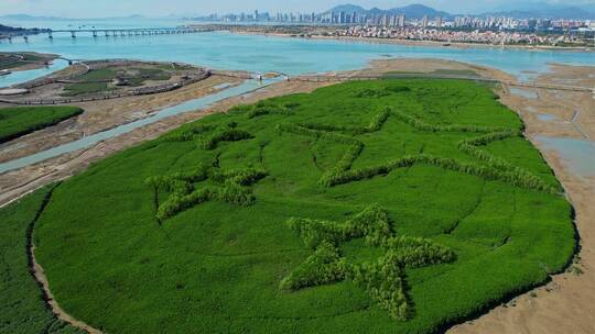 厦门航拍下潭尾湿地公园景观