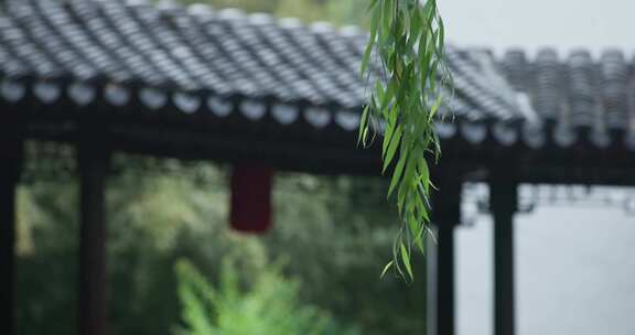 雨水惊蛰谷雨意境屋檐雨滴滴水