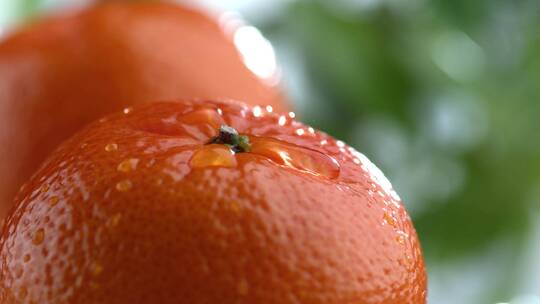橘子上的水珠