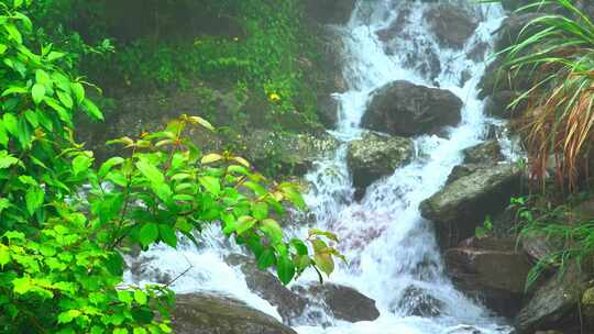 山间溪流潺潺流水