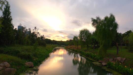 城市绿地小河夕阳延时