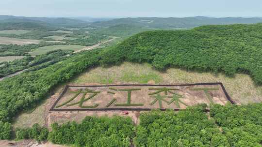 鹤岗关门嘴子水库