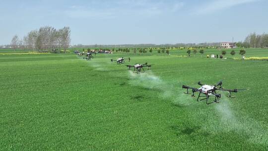 无人机洒农药  无人机植保 麦田一喷三防