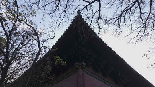 山西大同善化寺历史建筑