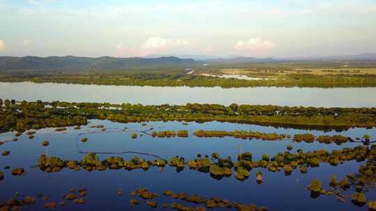 航拍夏季乌苏里江和湿地风光视频素材模板下载