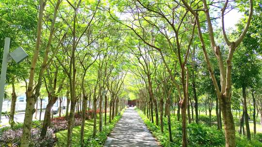 海南三亚天涯区城市园林建筑阳光休闲生活