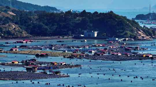 滨海渔村日常：海上养殖的生动画卷 航拍视频素材模板下载