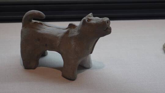 古代家畜猪狗牛石像雕刻 ~视频素材模板下载