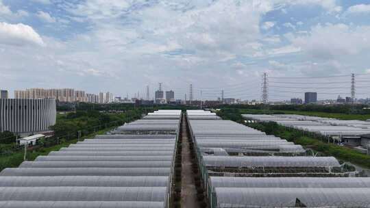 现代化农业大棚基地