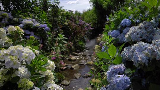 绣球花花园公园景区景点