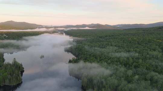 4k森林大自然流水风景树林山水自然山山川