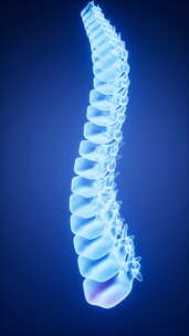 人体脊柱炎症与药物治疗，医学概念，三维渲