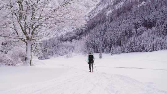 雪山和树木旁滑雪的女人