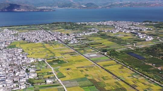 大理云南秋天秋收风景