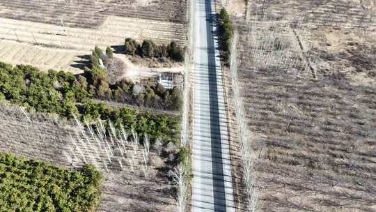 航拍乡村公路与田野风光