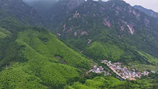 航拍安徽黄山毛峰茶田高海拔茶园