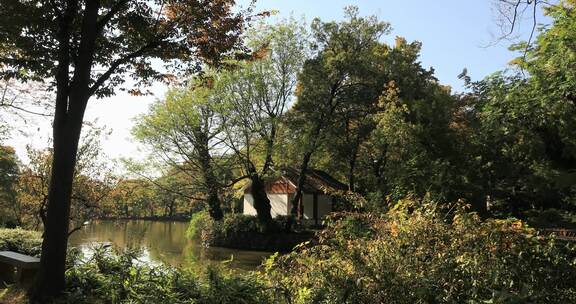 唯美苏州天平山秋色