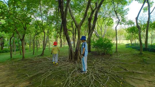 小朋友小学生亲近大自然草地玩耍奔跑