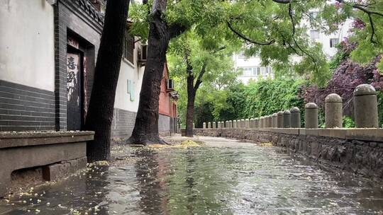 济南于家桥景观，小桥流水酷似江南风貌视频素材模板下载