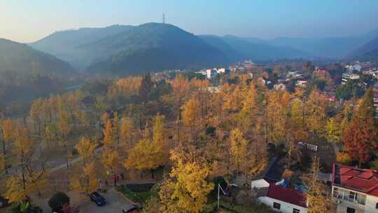 美丽山村 长兴八都芥景区