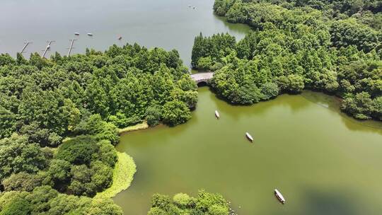 中国杭州西湖风景名胜区杨公堤