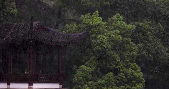 夏季雨中中式园林庭院屋檐雨滴