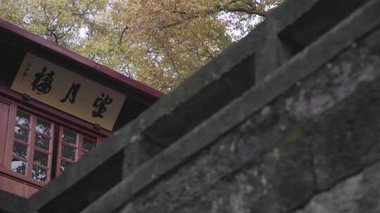 绍兴新昌大佛寺