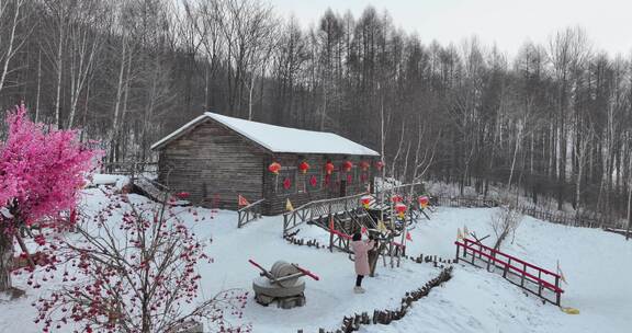 吉林雪乡威虎山寨航拍