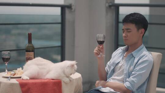 帅哥在阳台和白猫喝红酒