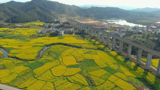 4K油菜花古村庄高铁列车通过