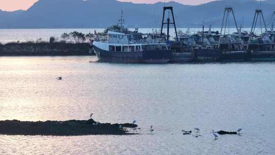 中国广东省汕尾市城区滨海渔港