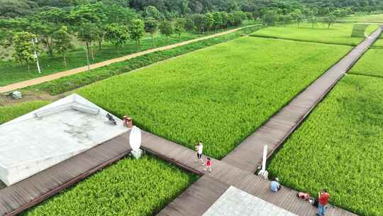 中国广东省广州市从化艾米稻香小镇