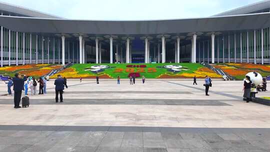 上海第八届 进博会私人飞机展