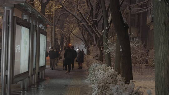 城市冬天雪景 夜晚雪景