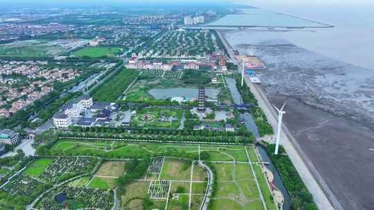 上海奉贤海岸线 海洋生态  渔人码头