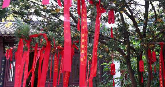 中国杭州西溪湿地秋雪庵祈福丝带