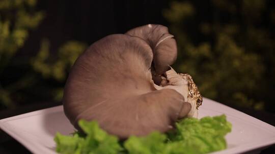 【镜头合集】蘑菇平菇氨基酸食材
